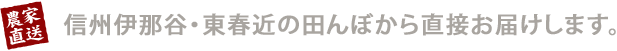 信州伊那谷・東春近の田んぼから直接お届けします。